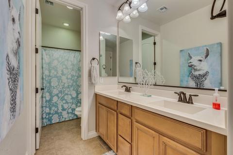 895 E Bridgeport Pkwy, Gilbert, AZ 85295 photo 30
