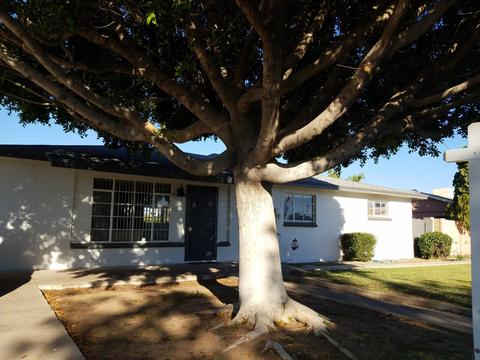 5533 N 22nd Dr, Phoenix, AZ 85015 photo 10
