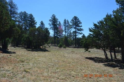 2833 Markham Rd, Overgaard, AZ 85933 photo 30