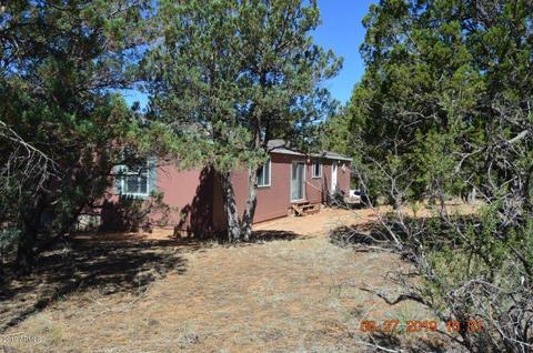 2833 Markham Rd, Overgaard, AZ 85933 photo 28
