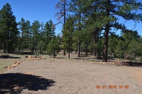 2833 Markham Rd, Overgaard, AZ 85933 photo 31