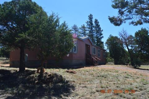 2833 Markham Rd, Overgaard, AZ 85933 photo 29