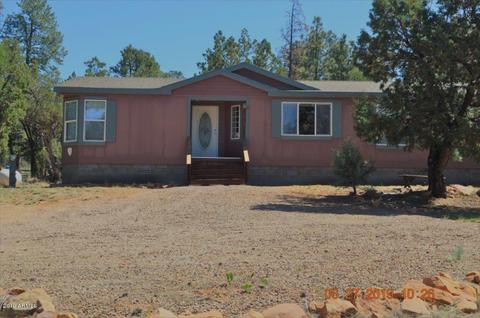 2833 Markham Rd, Overgaard, AZ 85933 photo 1