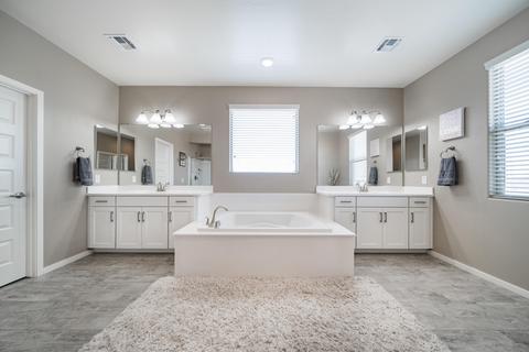 3114 E Preston St, Mesa, AZ 85213 photo 28
