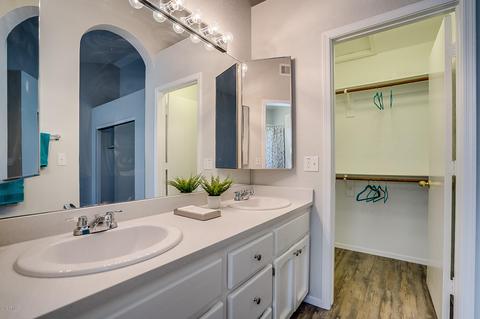 916 E Annette Dr, Phoenix, AZ 85022 photo 19