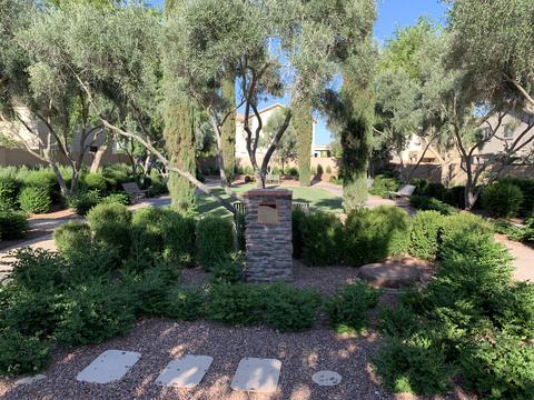 11031 E Stearn Ave, Mesa, AZ 85212 photo 29