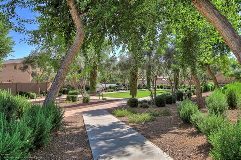 11031 E Stearn Ave, Mesa, AZ 85212 photo 28