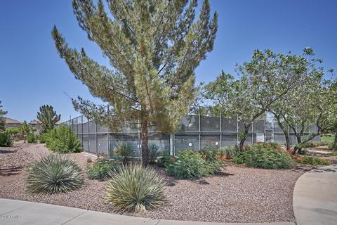 1159 E Lowell Ave, Gilbert, AZ 85295 photo 37