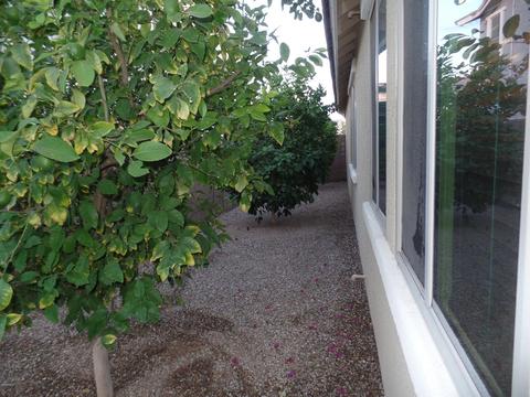 3042 E Rochelle St, Mesa, AZ 85213 photo 38