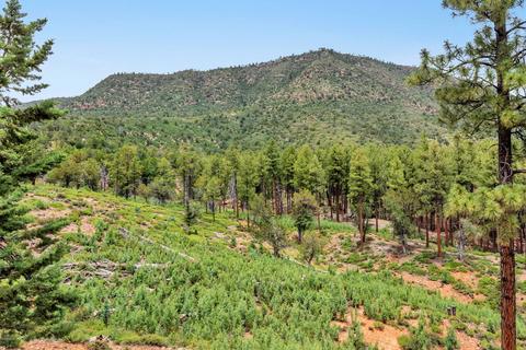 6425 W Ruin Hill Loop, Pine, AZ 85544 photo 43