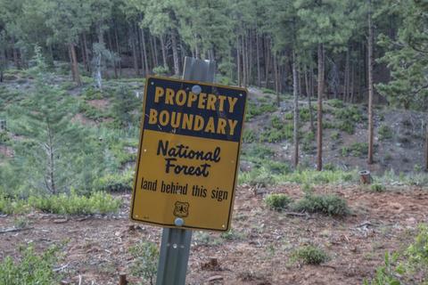 6425 W Ruin Hill Loop, Pine, AZ 85544 photo 48