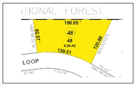 6425 W Ruin Hill Loop, Pine, AZ 85544 photo 53