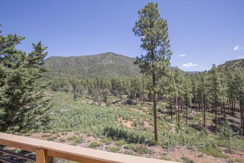 6425 W Ruin Hill Loop, Pine, AZ 85544 photo 27