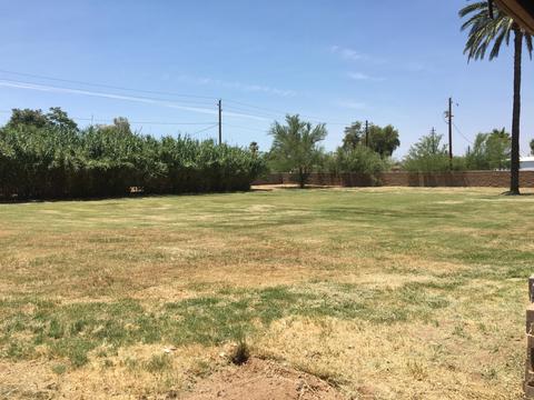 29 E Greenway Rd, Phoenix, AZ 85042 photo 9