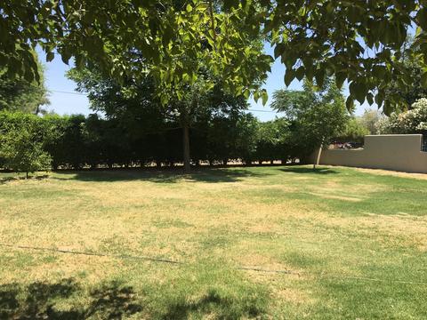 29 E Greenway Rd, Phoenix, AZ 85042 photo 2