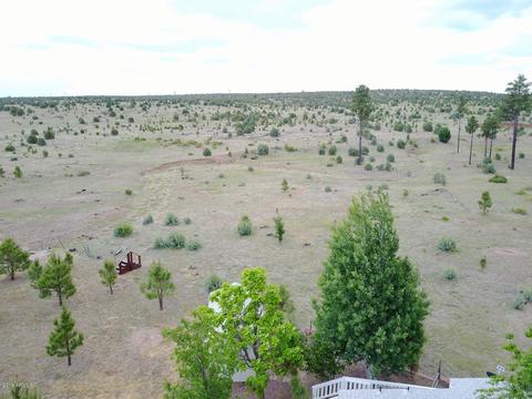 2241 Rodeo Rd, Overgaard, AZ 85933 photo 33