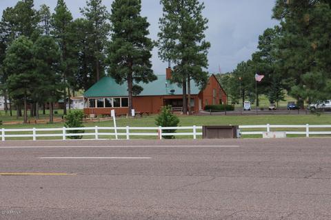 2241 Rodeo Rd, Overgaard, AZ 85933 photo 38