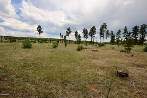 2241 Rodeo Rd, Overgaard, AZ 85933 photo 25