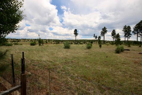 2241 Rodeo Rd, Overgaard, AZ 85933 photo 26