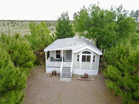 2241 Rodeo Rd, Overgaard, AZ 85933 photo 1