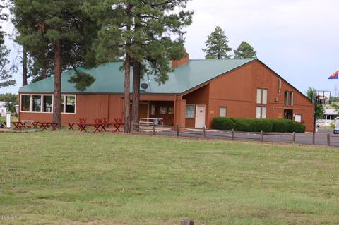 2241 Rodeo Rd, Overgaard, AZ 85933 photo 37
