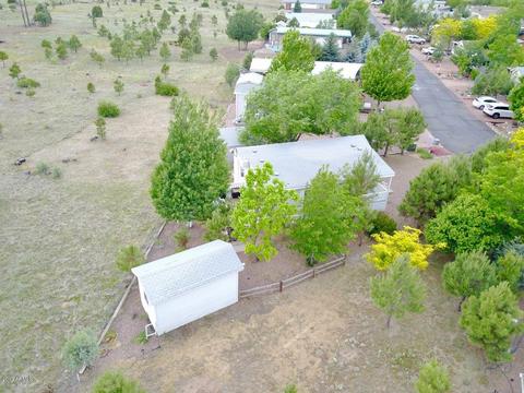 2241 Rodeo Rd, Overgaard, AZ 85933 photo 30