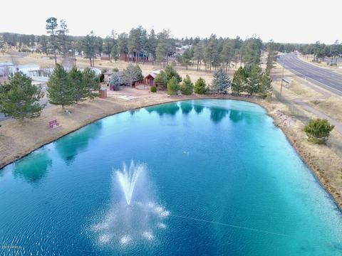 2241 Rodeo Rd, Overgaard, AZ 85933 photo 40