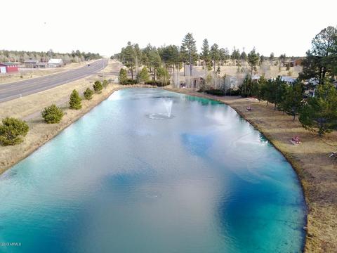 2241 Rodeo Rd, Overgaard, AZ 85933 photo 39