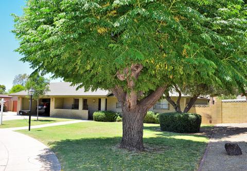 602 E Meadow Ln, Phoenix, AZ 85022 photo 1