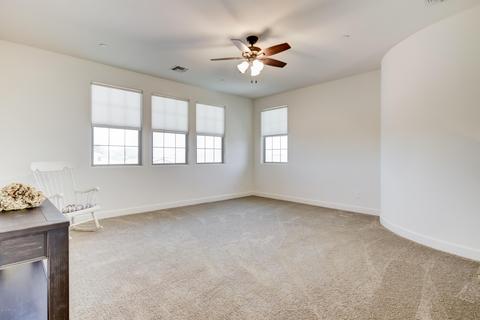 3015 E Branham Ln, Phoenix, AZ 85042 photo 49