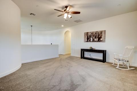 3015 E Branham Ln, Phoenix, AZ 85042 photo 51