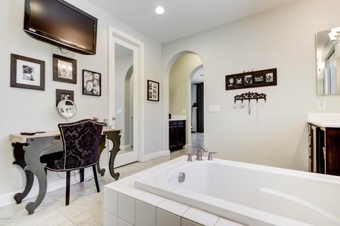 3015 E Branham Ln, Phoenix, AZ 85042 photo 37