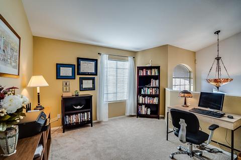 4331 E Prickly Pear Trl, Phoenix, AZ 85050 photo 20