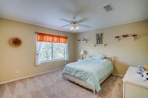 4331 E Prickly Pear Trl, Phoenix, AZ 85050 photo 27