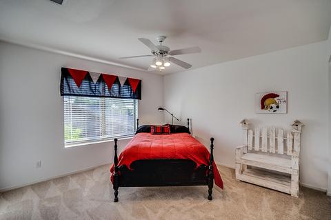 4331 E Prickly Pear Trl, Phoenix, AZ 85050 photo 29