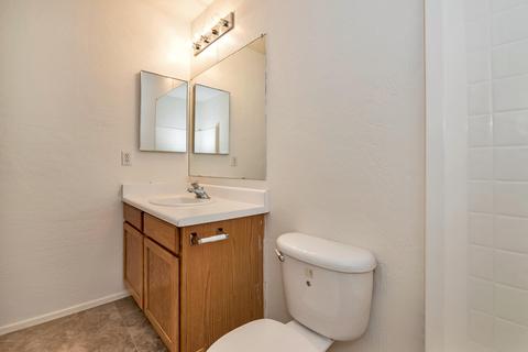 11043 E Delta Ave, Mesa, AZ 85208 photo 13