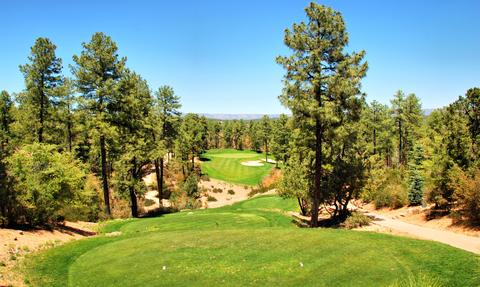 2403 E Golden Aster Cir, Payson, AZ 85541 photo 62