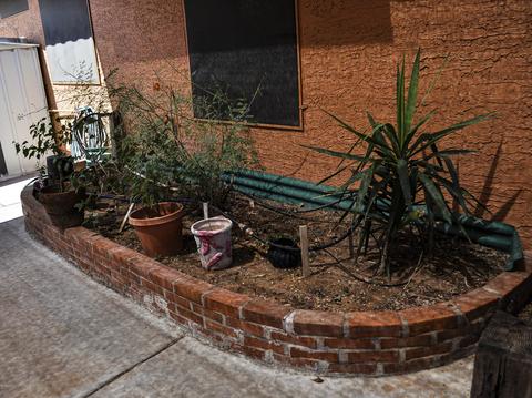 2558 E Nora St, Mesa, AZ 85213 photo 69