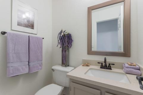 16653 S 38th St, Phoenix, AZ 85048 photo 18