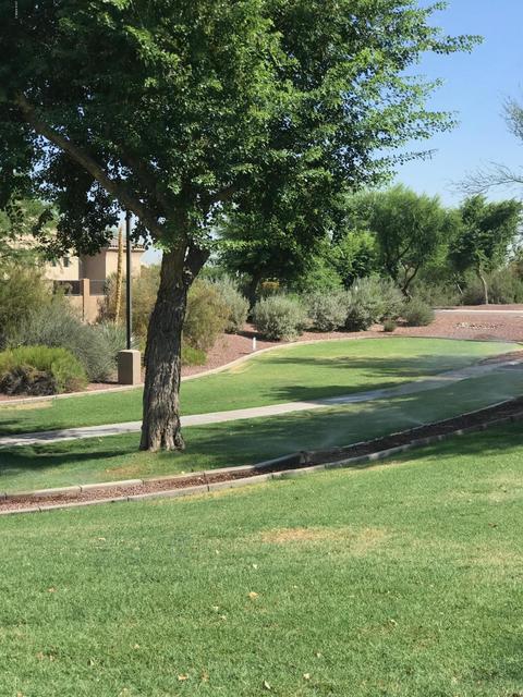 1910 E Desert Ln, Phoenix, AZ 85042 photo 50