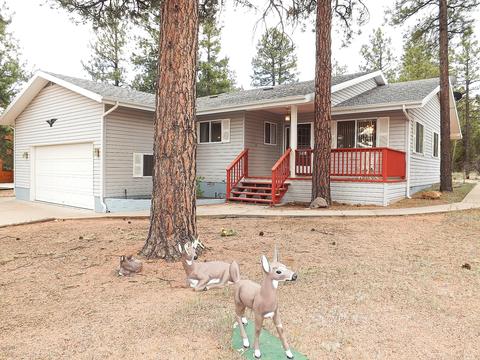 3402 Pine Cone Dr, Overgaard, AZ 85933 photo 1