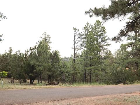 3402 Pine Cone Dr, Overgaard, AZ 85933 photo 43
