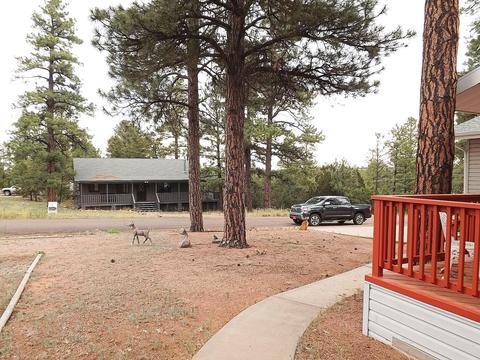 3402 Pine Cone Dr, Overgaard, AZ 85933 photo 13