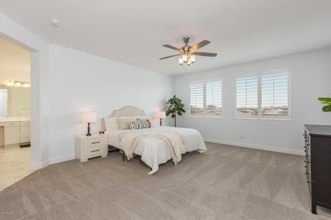 10616 E Sheffield Dr, Mesa, AZ 85212 photo 25