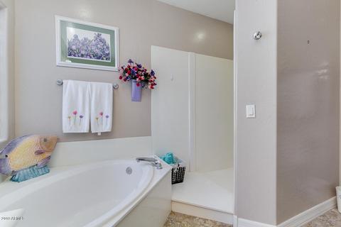 1700 E Lakeside Dr #42, Gilbert, AZ 85234 photo 39