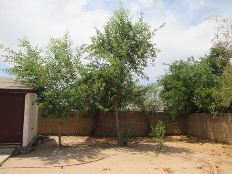 9031 E Princess Dr, Mesa, AZ 85207 photo 32