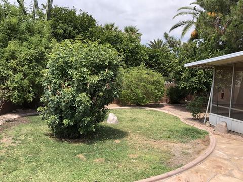 730 S Edgewater Dr, Mesa, AZ 85208 photo 13