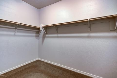 3118 E Blue Sage Ct, Gilbert, AZ 85297 photo 50