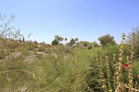 6187 N 28th Pl, Phoenix, AZ 85016 photo 40