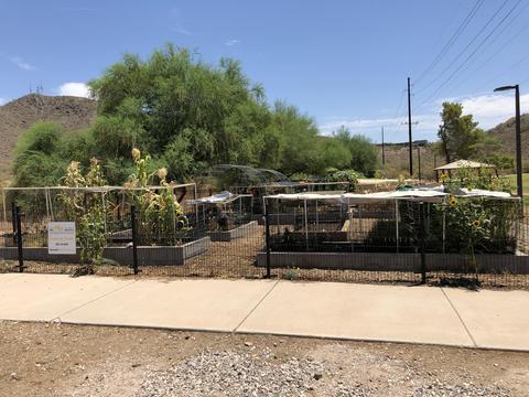 10202 N 7th Ave W #2, Phoenix, AZ 85021 photo 21